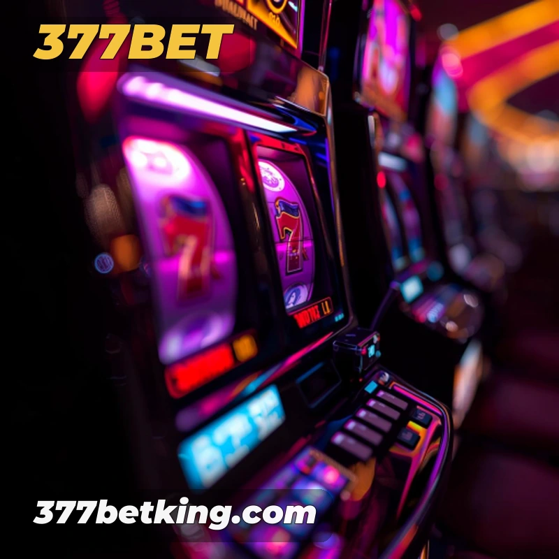 377bet Belo Horizonte - Winners