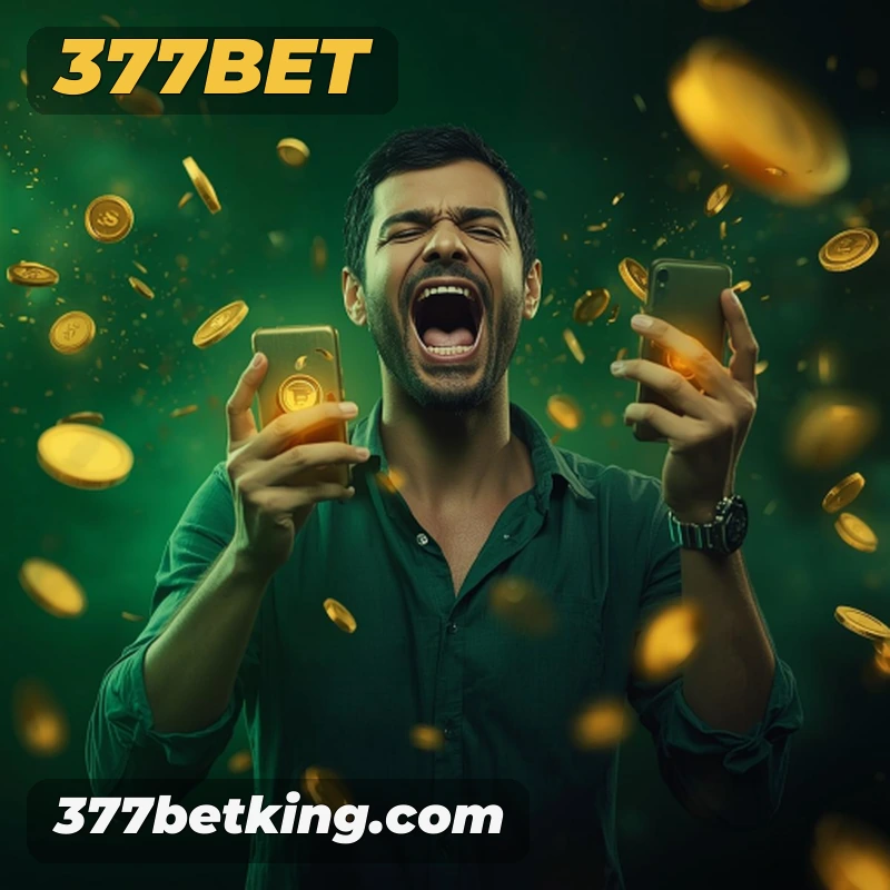 377bet Belo Horizonte - Basketball